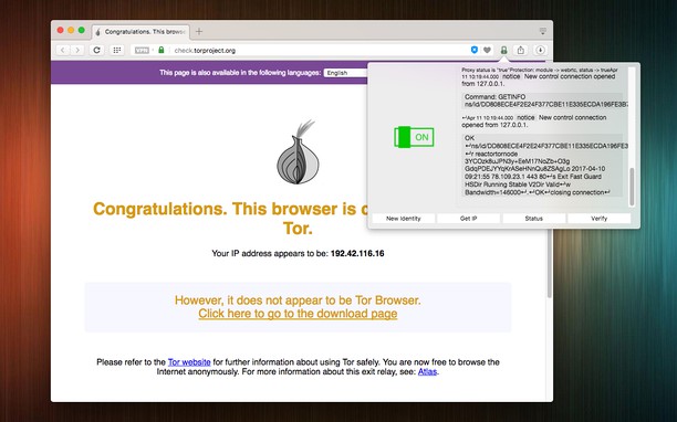 download the new version Tor 12.5